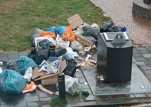 artikel-230