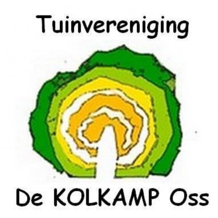 activiteit-